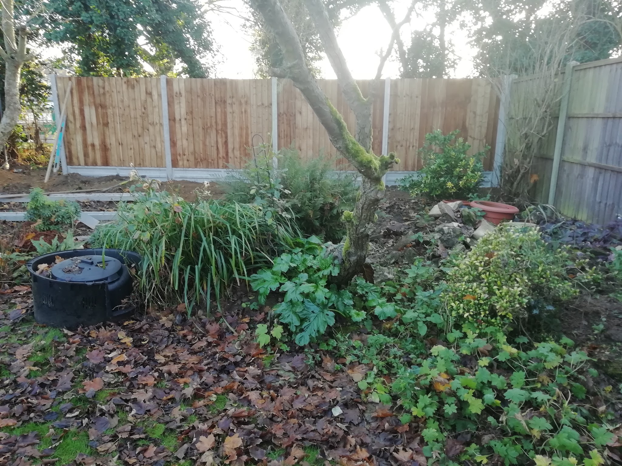 New panels on concrete posts and gravel boards at the back of a planted garden