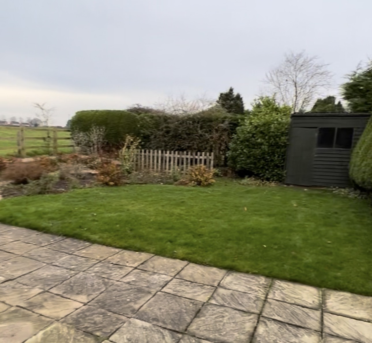 The garden before: lawn, patio and overgrown borders